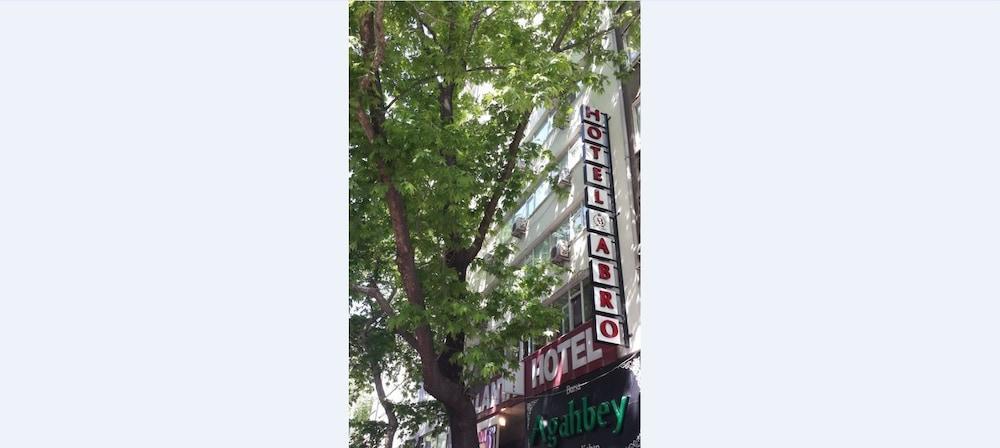 Abro Necatibey
